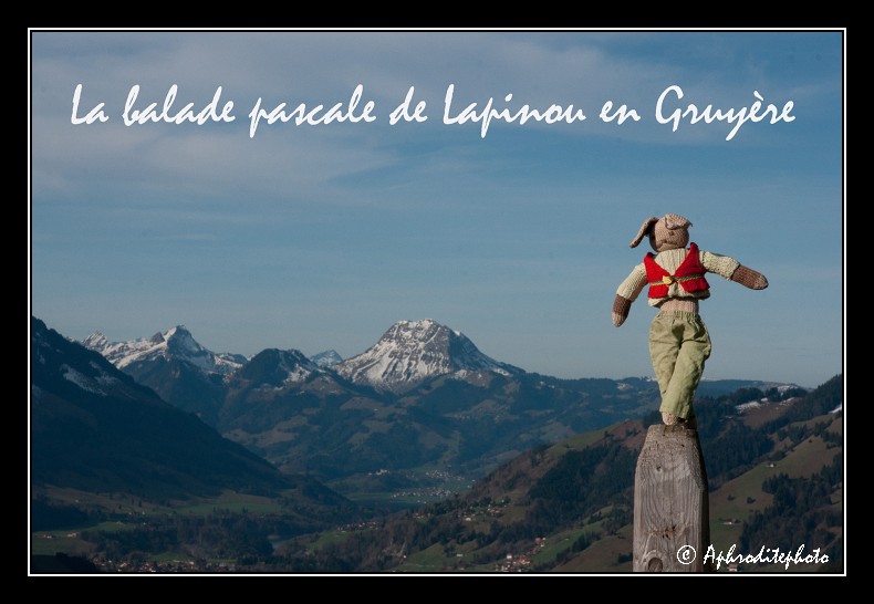 Lapinou At Gruyère 2012